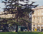 Porta Pila 2000